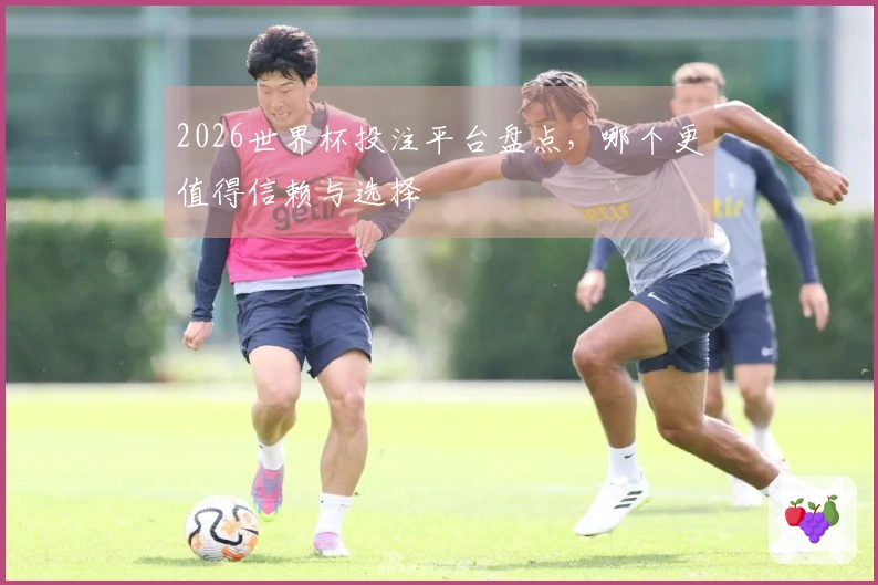 2026世界杯投注平台盘点，哪个更值得信赖与选择