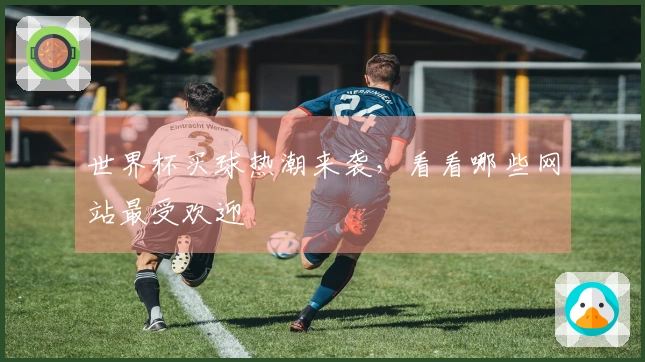 世界杯买球热潮来袭，看看哪些网站最受欢迎