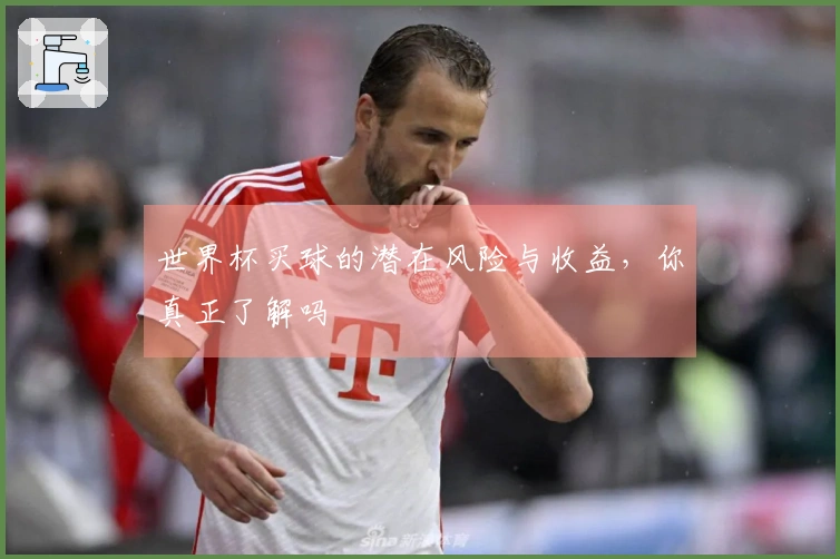 世界杯买球的潜在风险与收益，你真正了解吗