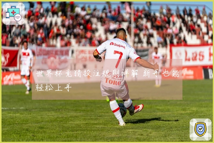 世界杯竞猜投注规则详解 新手也能轻松上手