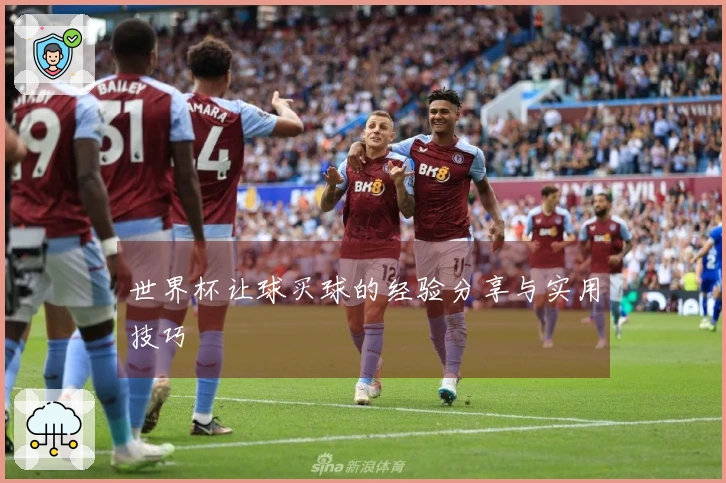 世界杯让球买球的经验分享与实用技巧