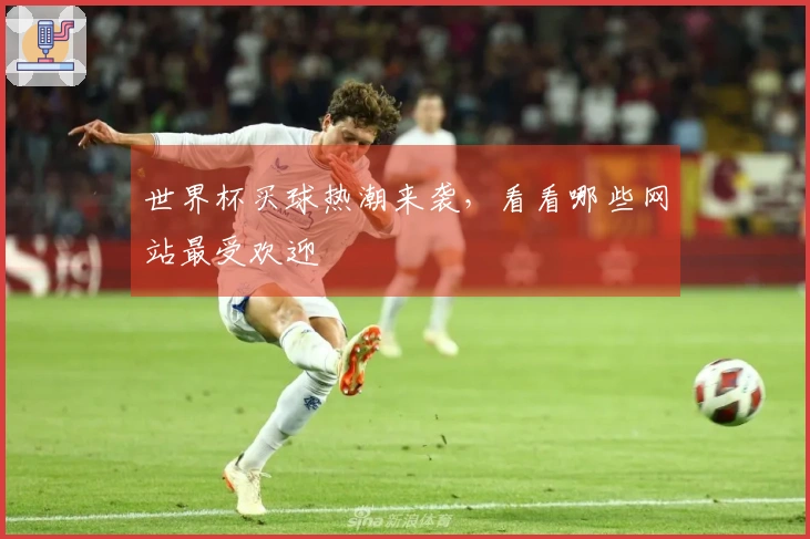 世界杯买球热潮来袭，看看哪些网站最受欢迎